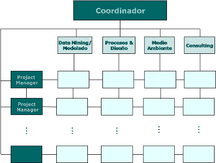 Organización matricial del grupo de investigación